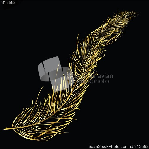 Image of Golden feather 