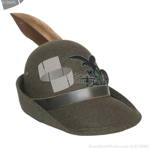 Image of Alpine cap