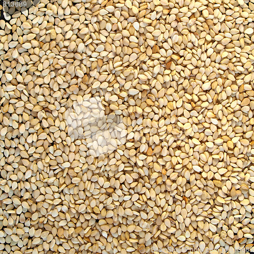 Image of Sesame seeds