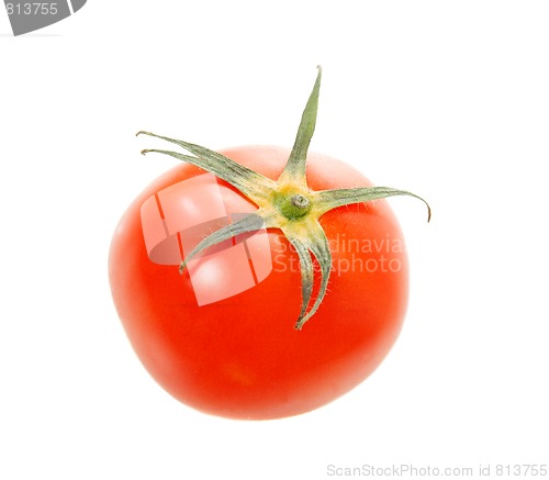 Image of Tomato