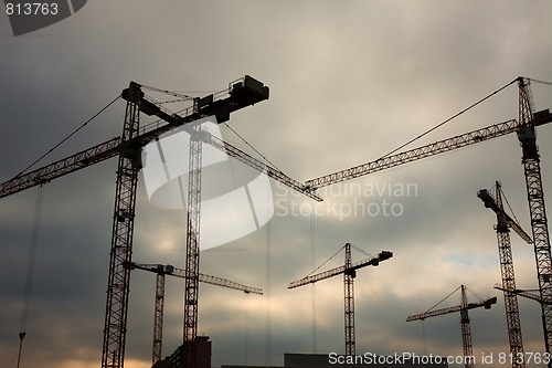 Image of Cranes