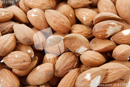 Image of Almond