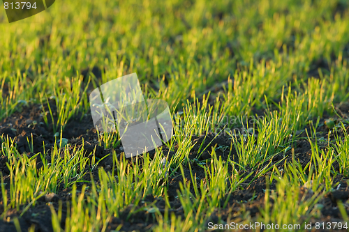 Image of Agriculture