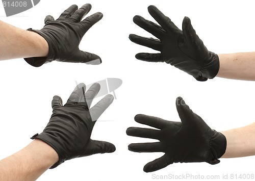 Image of Hands in gloves