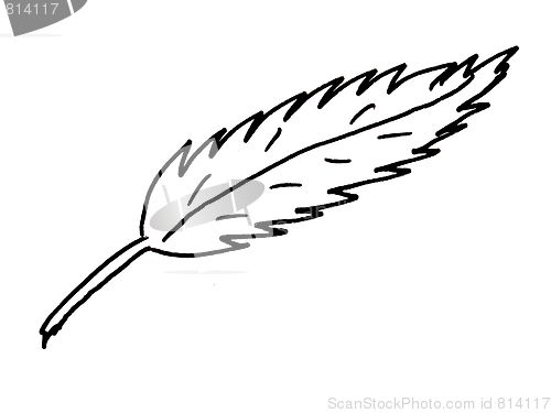 Image of leaf