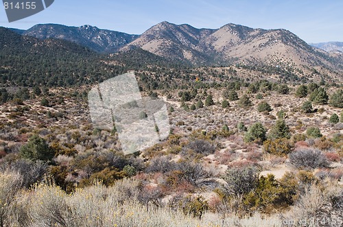 Image of Desert