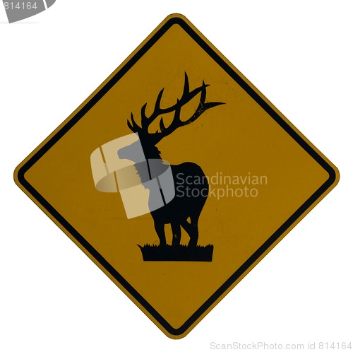 Image of Elk Crossing