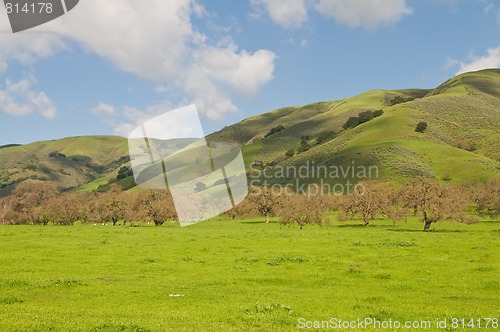 Image of Green hills