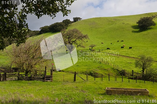 Image of Grassy hill