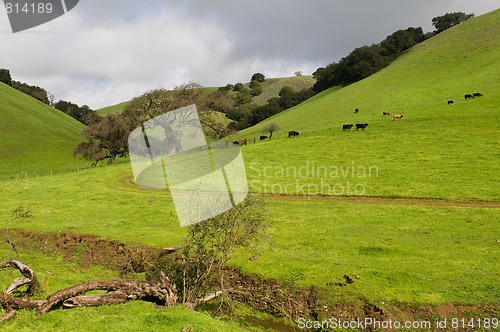 Image of Grassy hill