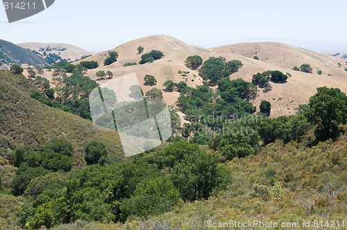 Image of Mt. Diablo view