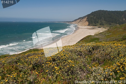 Image of Pacific coast