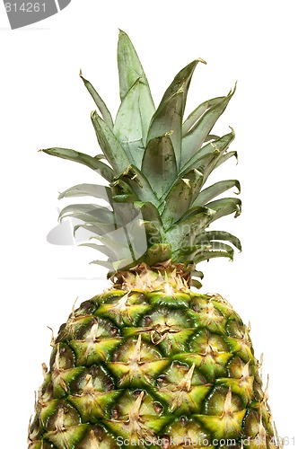 Image of Isolated pineapple