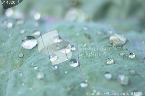 Image of water drops 