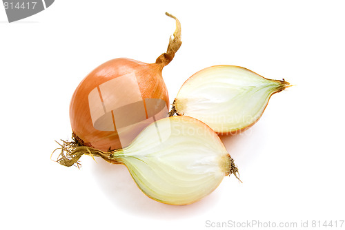 Image of onion