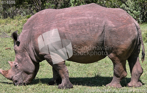 Image of Detail of Kenya, Africa during Spring 2005