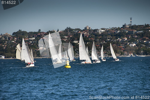 Image of Sydney Bay, August 2009