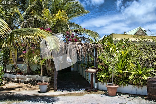 Image of Coast in Saint Maarten Island, Dutch Antilles