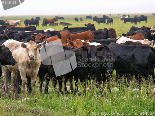 Image of Jackson Hole, Wyoming