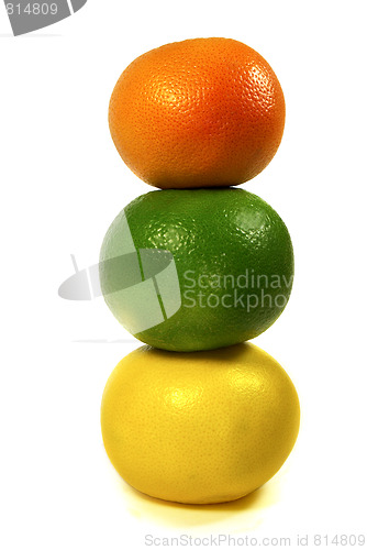 Image of grapefruits isolated