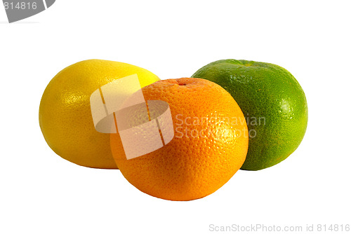 Image of grapefruits isolated