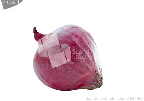 Image of Onion
