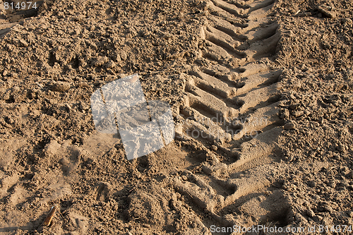 Image of Tractor trail