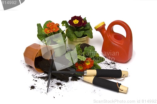 Image of Springtime gardening