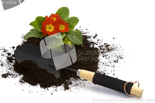 Image of Springtime gardening