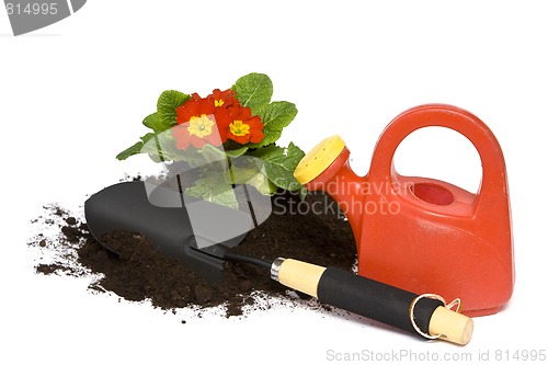 Image of Springtime gardening