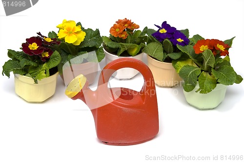 Image of Springtime gardening