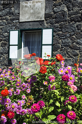 Image of Bunch of flowers 