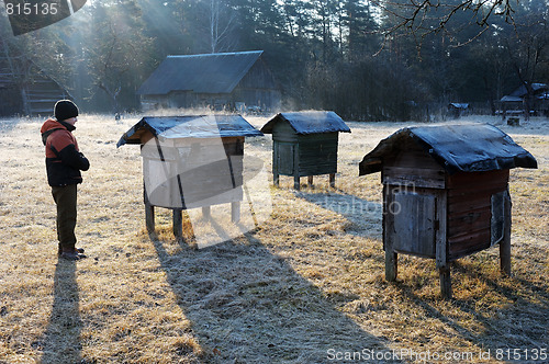 Image of Country apiary in early spring