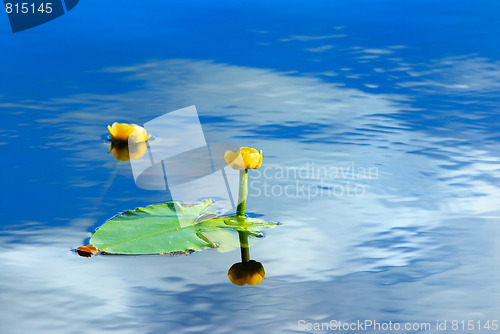 Image of Reflection of clouds