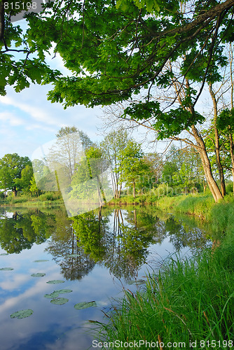 Image of Reflection of trees in the water in the early spring morning