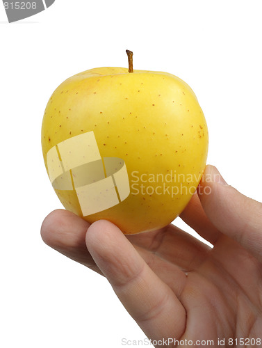 Image of Yellow apple in the hand