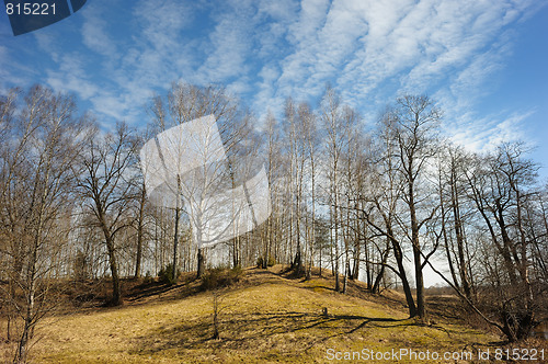 Image of Landscape in March