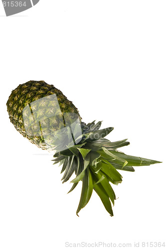 Image of Pineapple