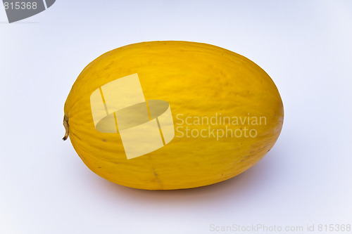 Image of Melon