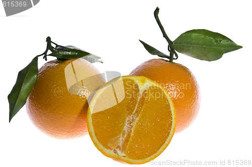 Image of Oranges