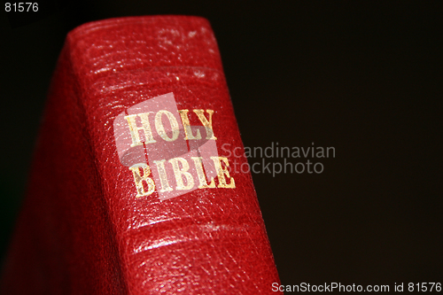 Image of Holy Bible