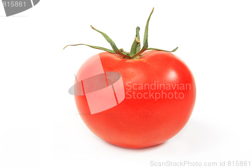 Image of The fresh red tomato 