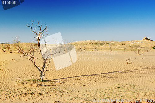 Image of The spring in the desert