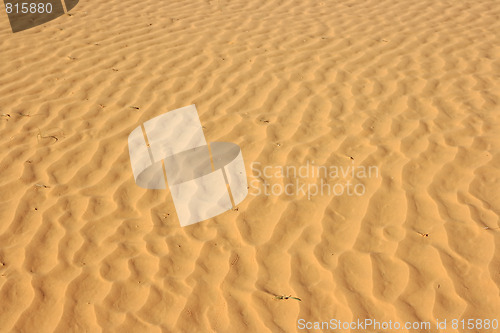 Image of The spring in the desert