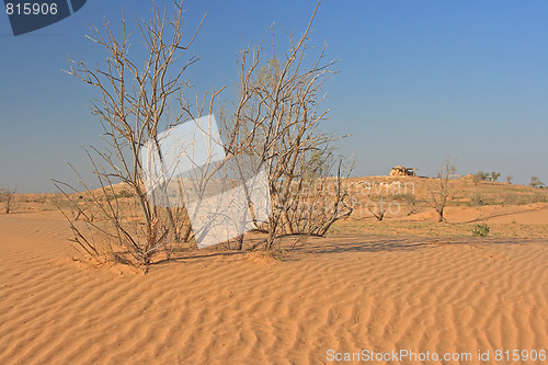 Image of The spring in the desert