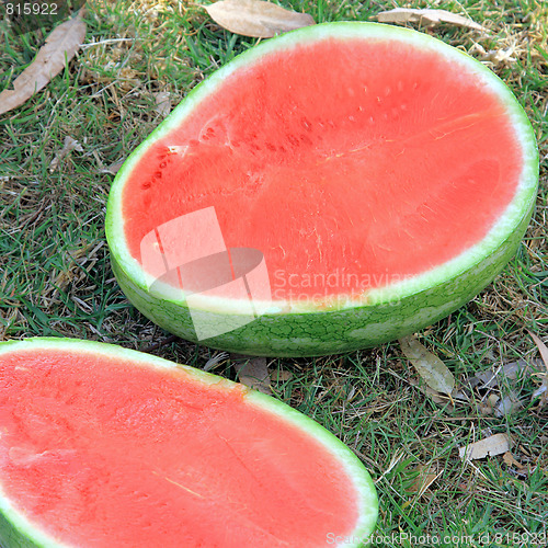Image of The picnic. Cutting a watermelon