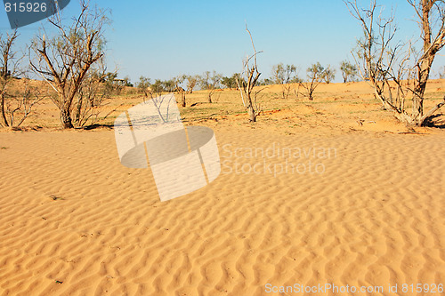 Image of The spring in the desert