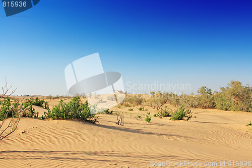 Image of The spring in the desert