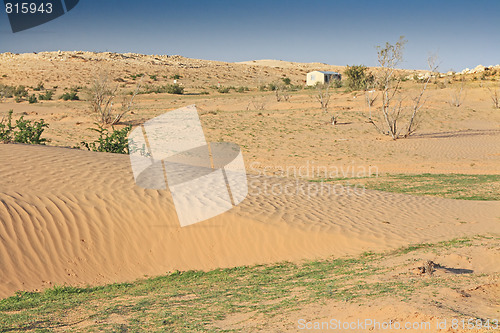 Image of The spring in the desert