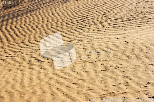 Image of The spring in the desert